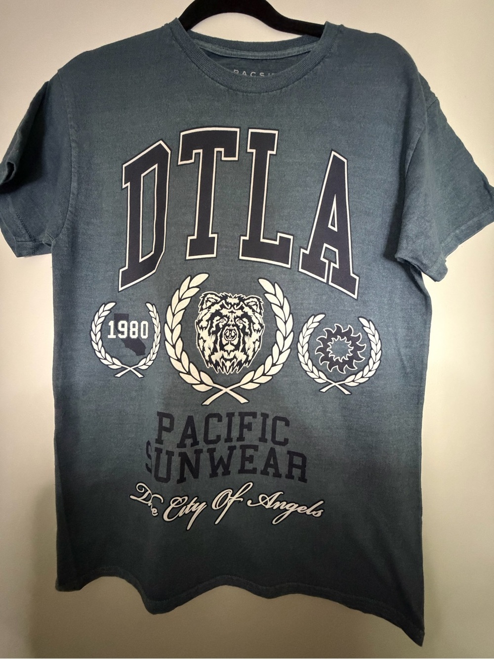 Brand New PacSun Blue Graphic Tee